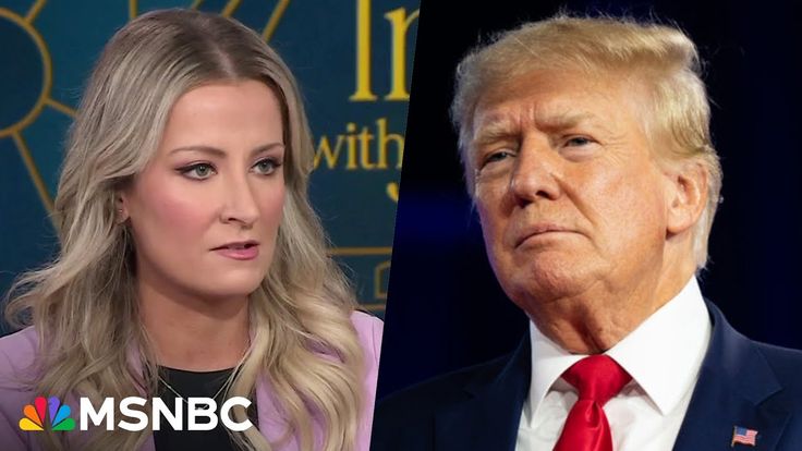 MSNBC: Former Donald Trump WH Aide Reveals Shy She 'Has No Choice But To Support Joe Biden'